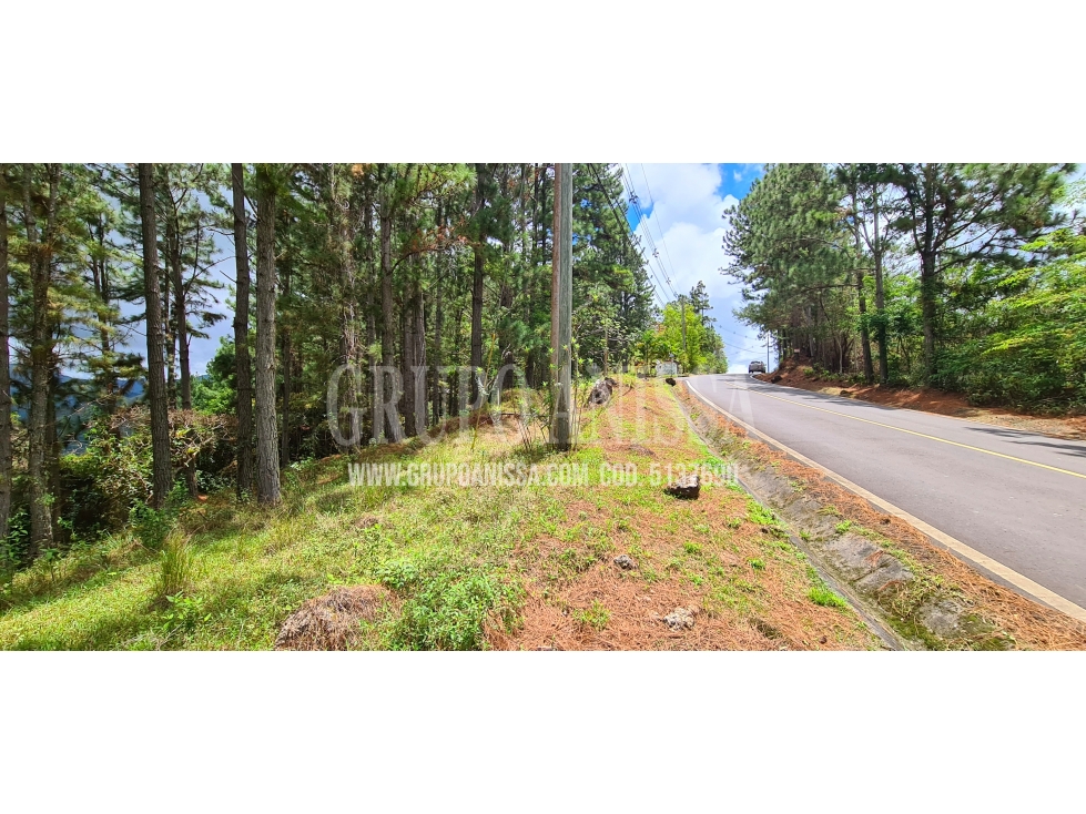 Se Vende Amplio Terreno de Esquina con Vistas en Altos del Maria — foto 4