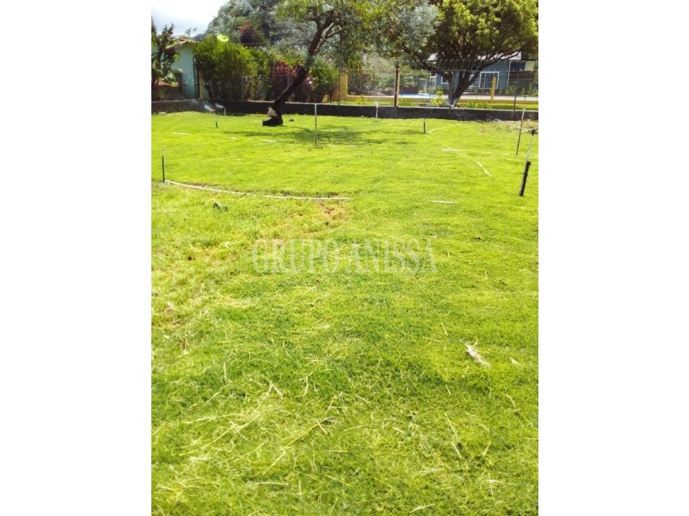 Oportunidad! Se Vende Terreno plano en Boquete - 6