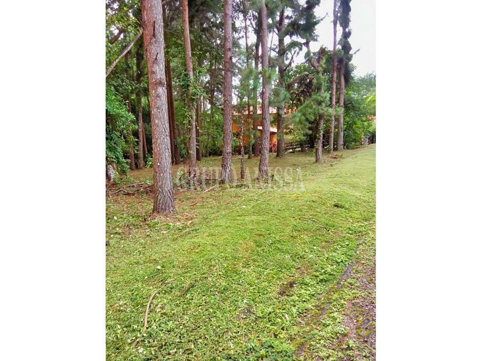 Oportunidad! Se Vende Terreno Plano en Altos del Maria — foto 4