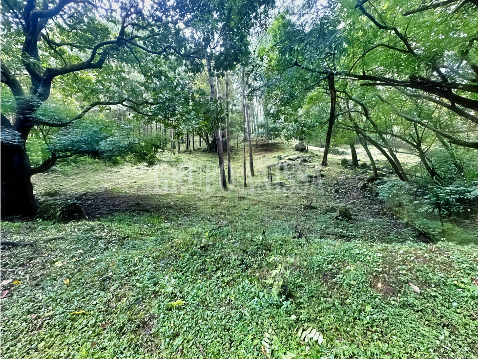 Oportunidad! Se Vende Amplio Lote en Laurel - Altos del Maria — foto 2