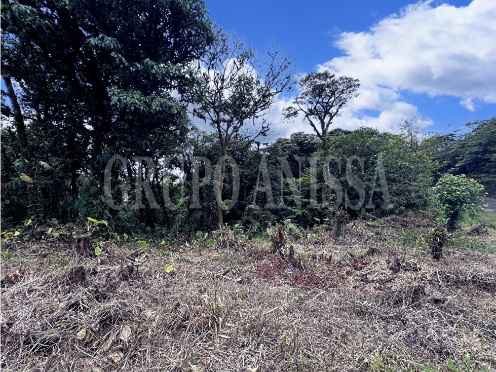 Oportunidad! Se Vende Hermoso Terreno en Altos del Maria — foto 4
