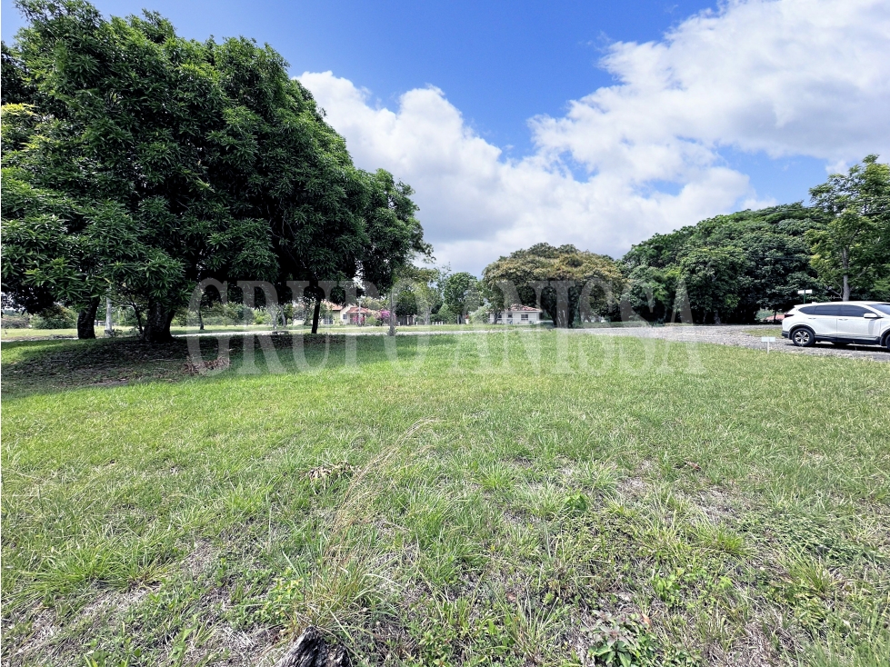 Se Vende Terreno de Esquina en la Colonia Chame — foto 3