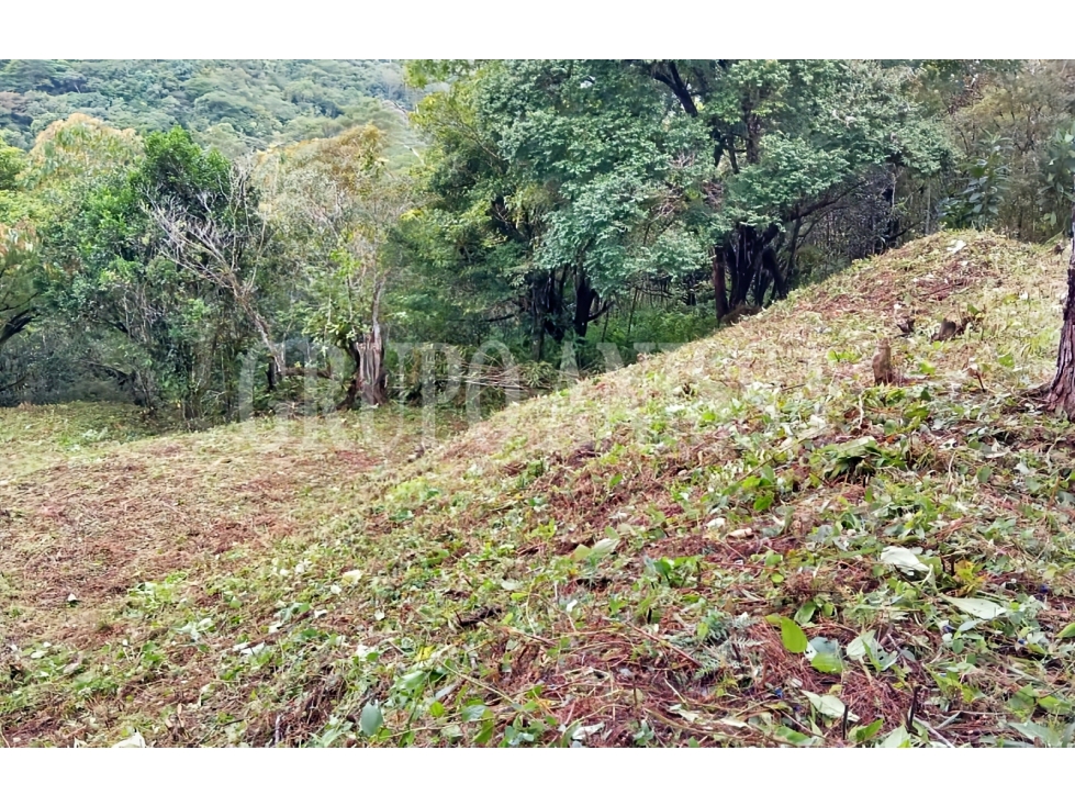 Se vende Terreno con Hermosas Vistas en Zona Alta - Altos del Maria — foto 3