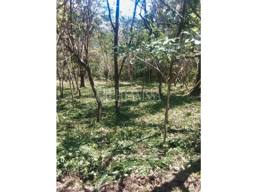 OPORTUNIDAD! Se Vende Terreno en Encanto de Altos del Maria — foto 3