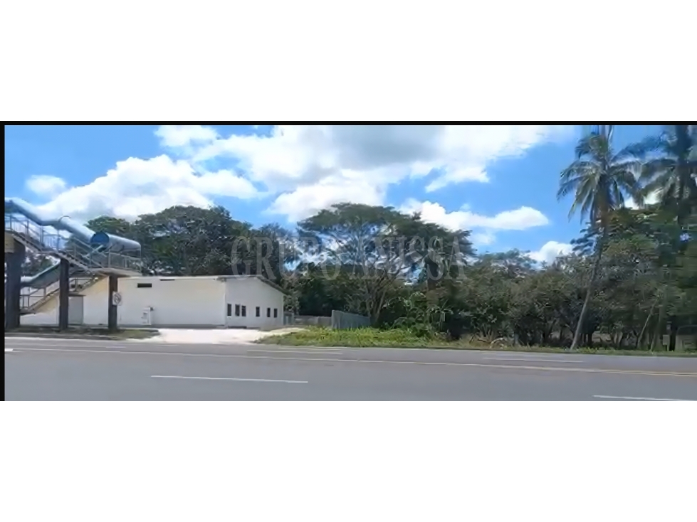 Se Vende Finca con Amplio Frente en Carretera Divisa - Chitré - 3