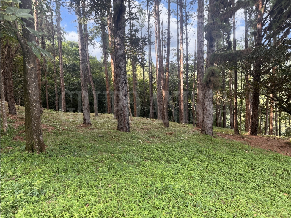 OPORTUNIDAD! Se vende Hermoso Terreno en Altos del Maria — foto 3