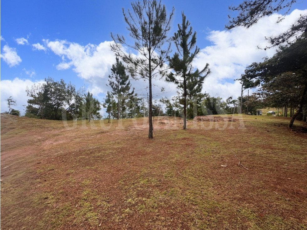 OPORTUNIDAD! Se Vende hermoso terreno nivelado en Altos del Maria — foto 3