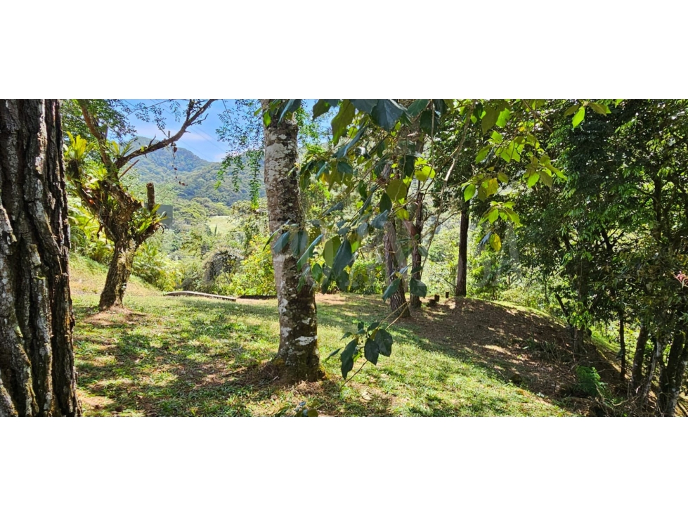 OPORTUNIDAD! Se Vende Amplio lote en Altos del Maria