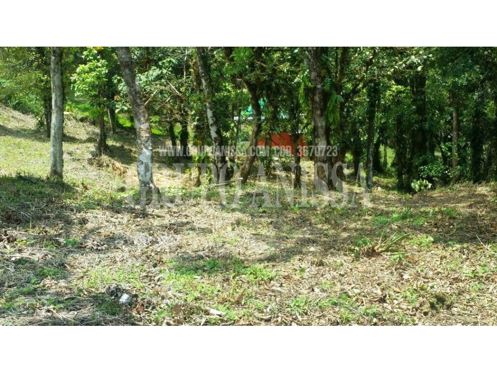 GANGA! Se Vende Terreno de Esquina en La Rioca Altos del Maria — foto 4