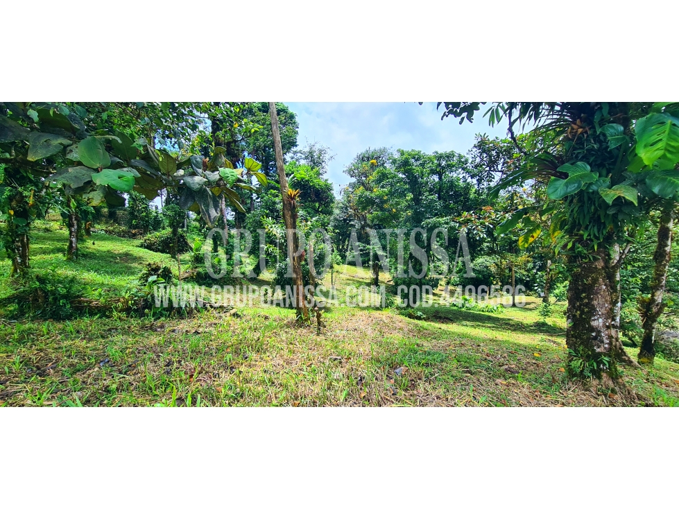 Oportunidad! Se Vende Hermoso Terreno en Zona Alta en Altos del Maria — foto 3