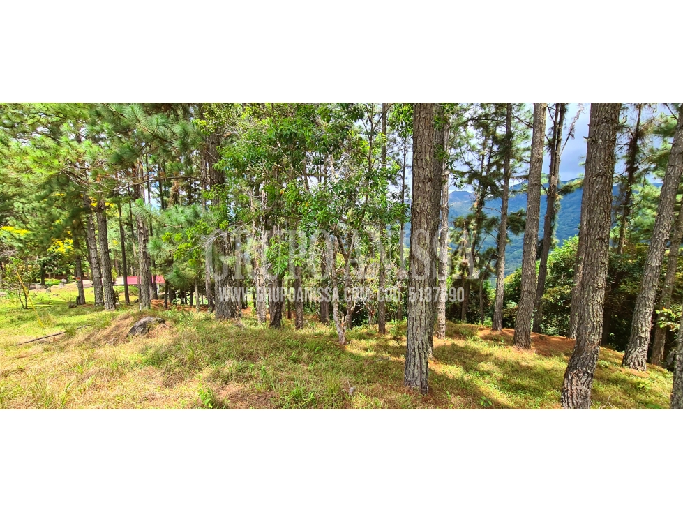 Se Vende Amplio Terreno de Esquina con Vistas en Altos del Maria — foto 5
