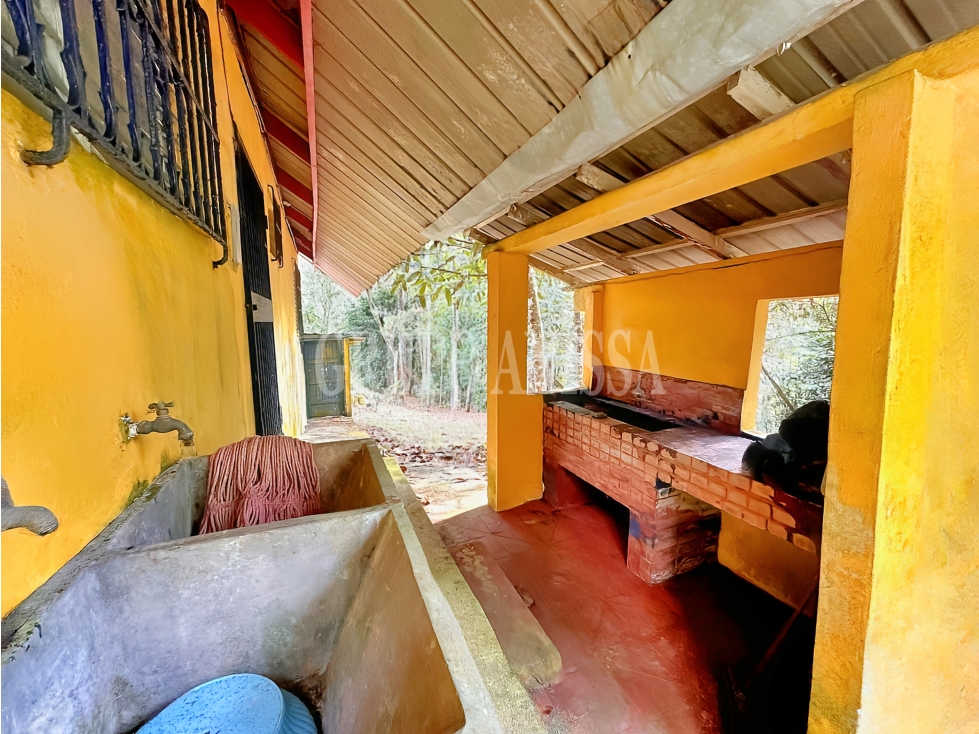 Oportunidad! Se Vende Casa con Amplio lote en Cerro Azul - 6