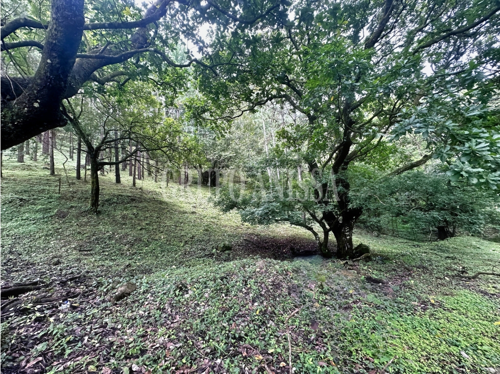 Oportunidad! Se Vende Amplio Lote en Laurel - Altos del Maria — foto 3