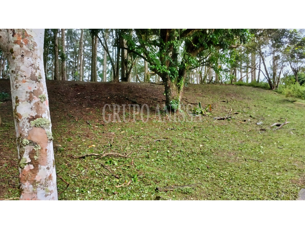 Oportunidad! Se Vende Terreno de Esquina Zona Alta - Altos del Maria — foto 6
