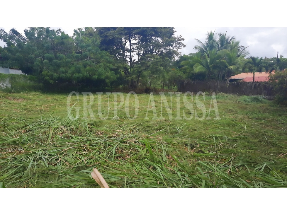 Oportunidad! Se Vende Terreno en Coronado — foto 4