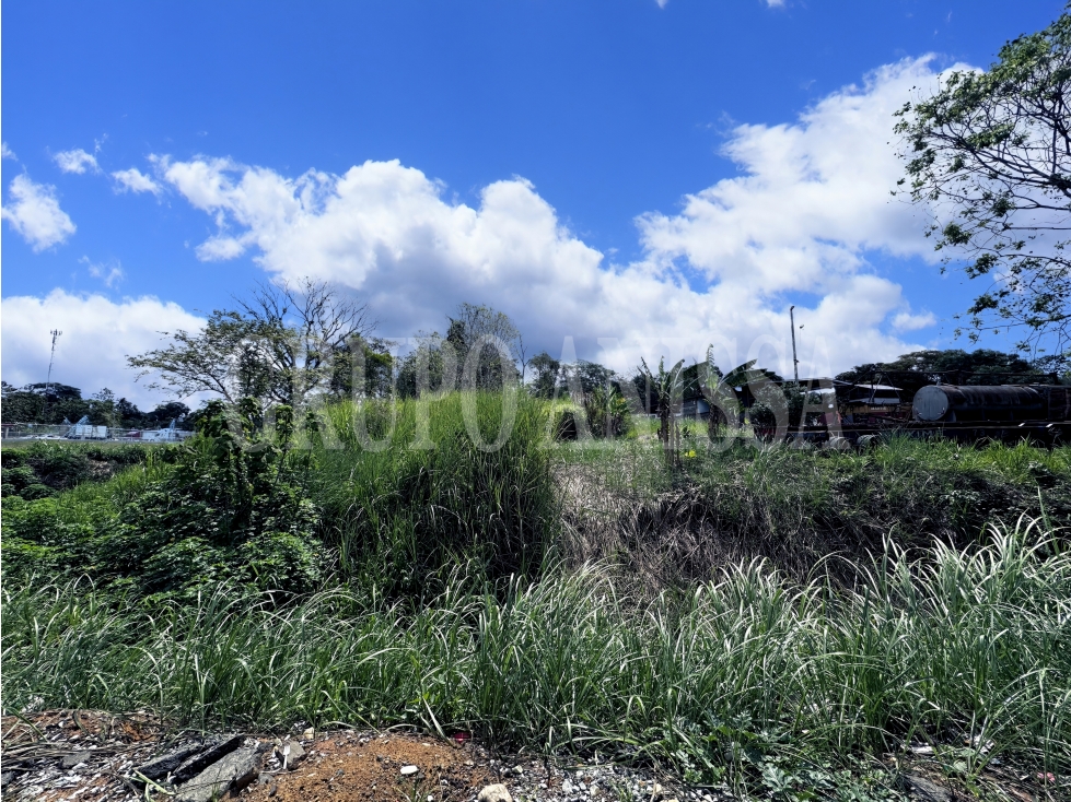 Se Vende Terreno en Chilibre sobre la Transistmica - 4