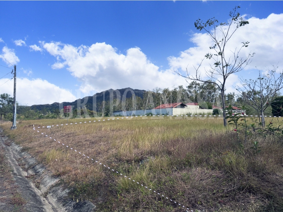 Oportunidad! Se Vende Terreno en la Colonia - Chame — foto 4