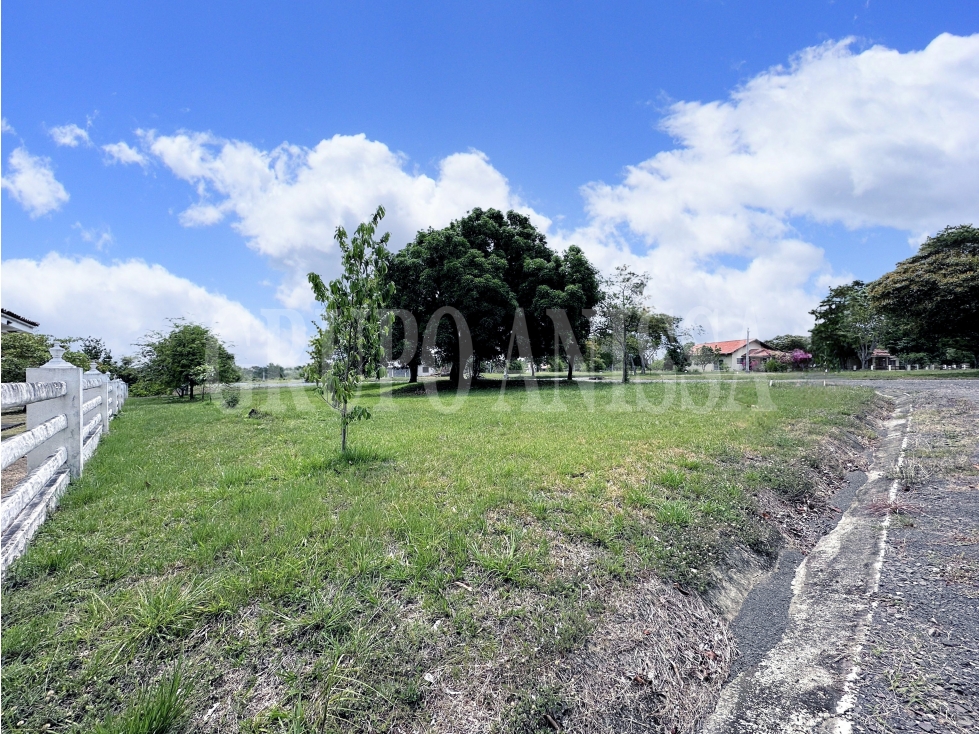 Se Vende Terreno de Esquina en la Colonia Chame — foto 4