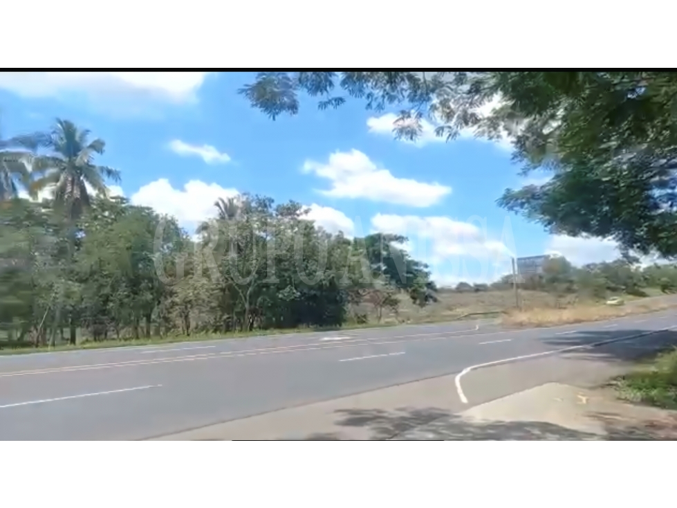 Se Vende Finca con Amplio Frente en Carretera Divisa - Chitré - 4