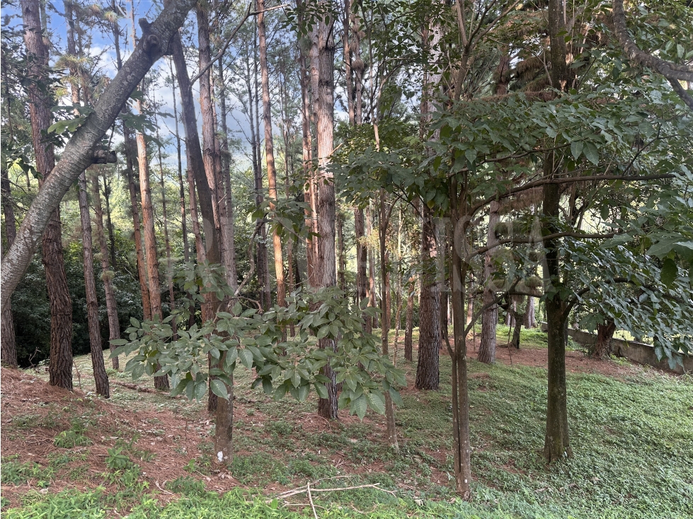 OPORTUNIDAD! Se vende Hermoso Terreno en Altos del Maria — foto 4