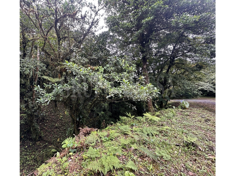 Oportunidad! Se vende amplio terreno en Galicia, Altos del Maria — foto 3