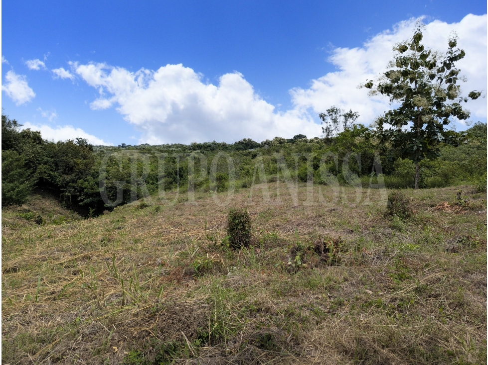 OPORTUNIDAD! Se Vende Amplio Terreno en Rio Hato - 4