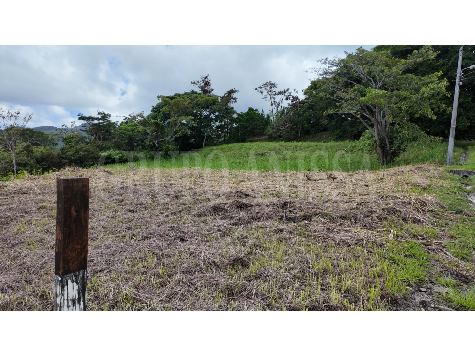 Terreno plano con impresionantes vistas Altos del María Primera Garita — foto 4