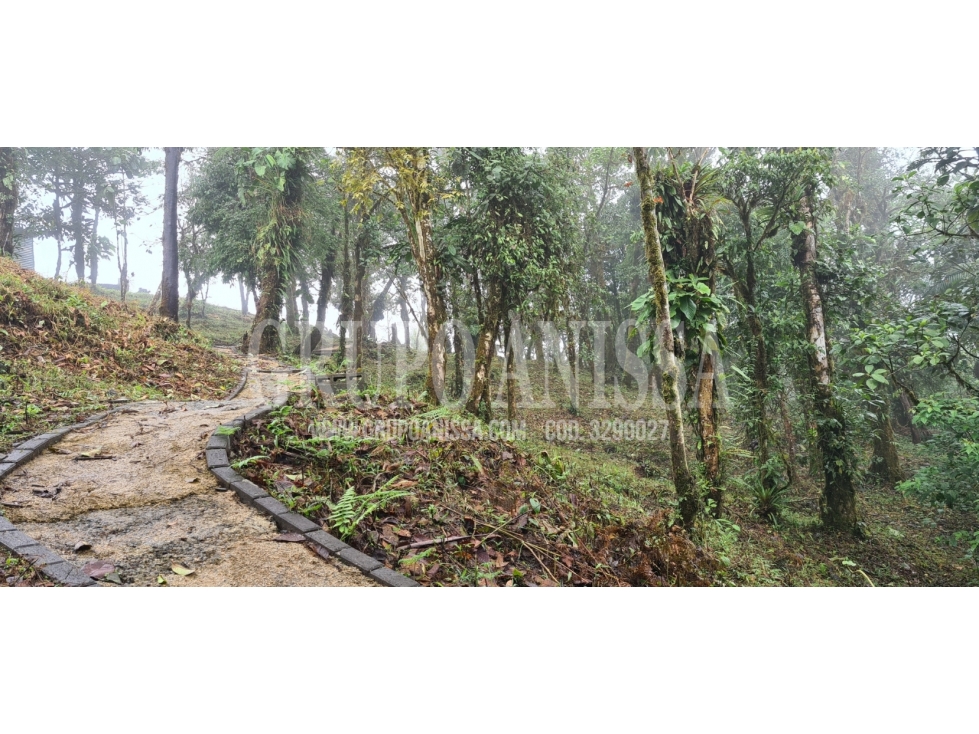 Oportunidad! Sea Dueño de Un Macro-lote Premium en Altos del Maria — foto 6