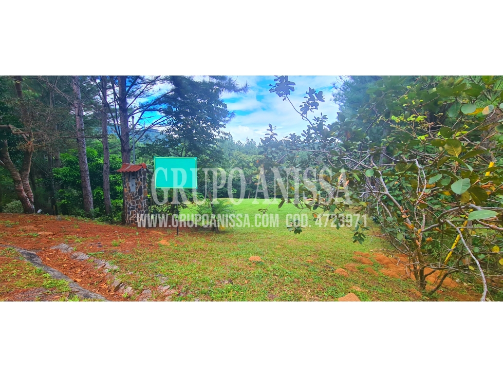 Se Vende Hermoso Terreno Plano En Altos del Maria - 5