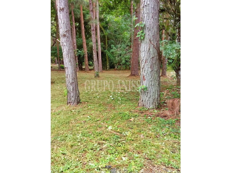 Oportunidad! Se Vende Terreno Plano en Altos del Maria — foto 5