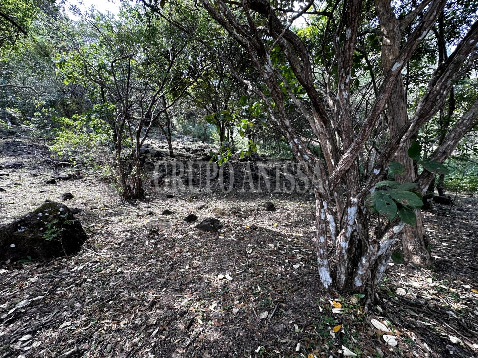 Se Vende Hermoso Lote en Santo Domingo Altos del Maria — foto 6