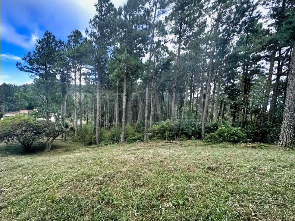 Oportunidad! Se Vende Terreno en Zona Alta - Altos del Maria — foto 4