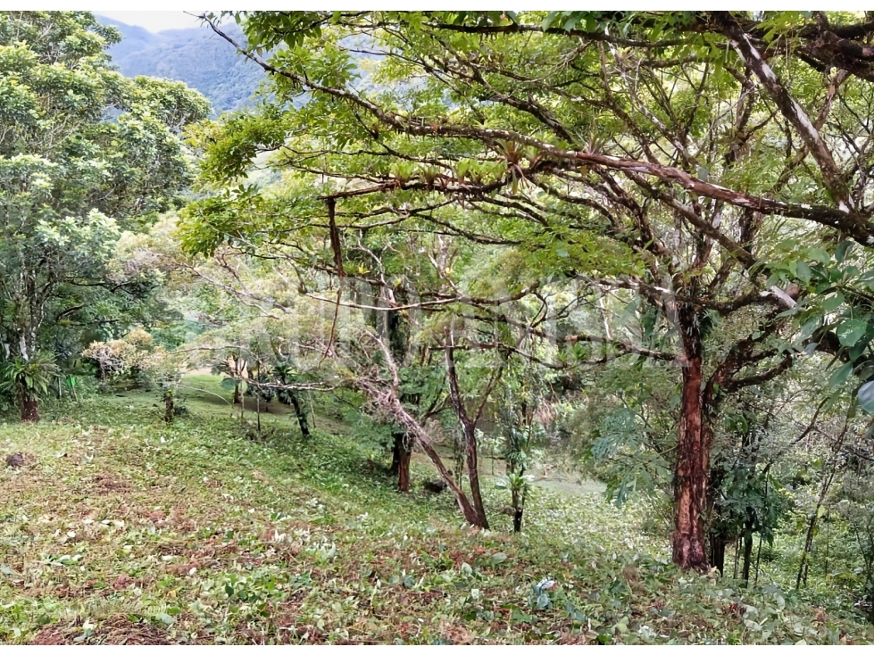 Se vende Terreno con Hermosas Vistas en Zona Alta - Altos del Maria — foto 5