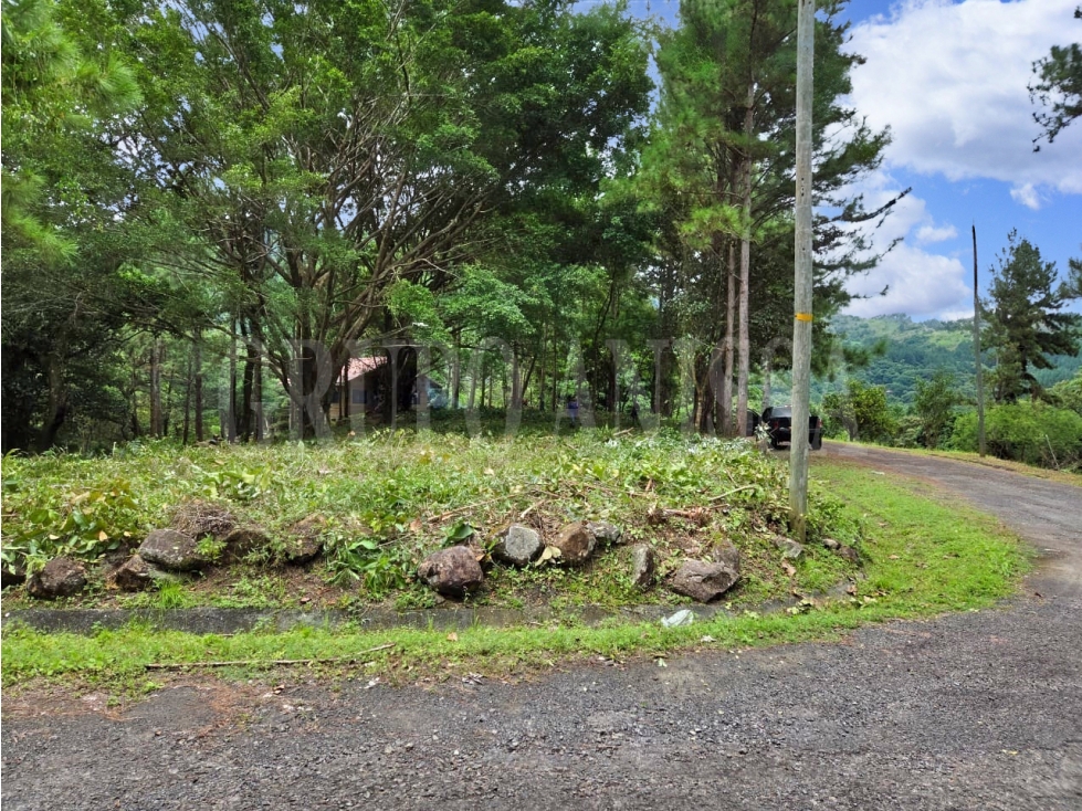 Se Vende bello Lote de Esquina con Manantial en Altos del Maria — foto 4