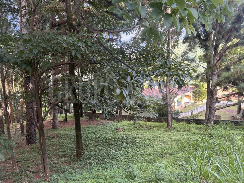 OPORTUNIDAD! Se vende Hermoso Terreno en Altos del Maria — foto 5