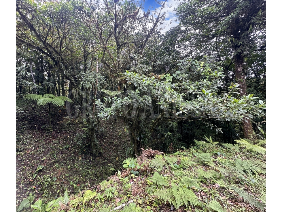 Oportunidad! Se vende amplio terreno en Galicia, Altos del Maria — foto 4