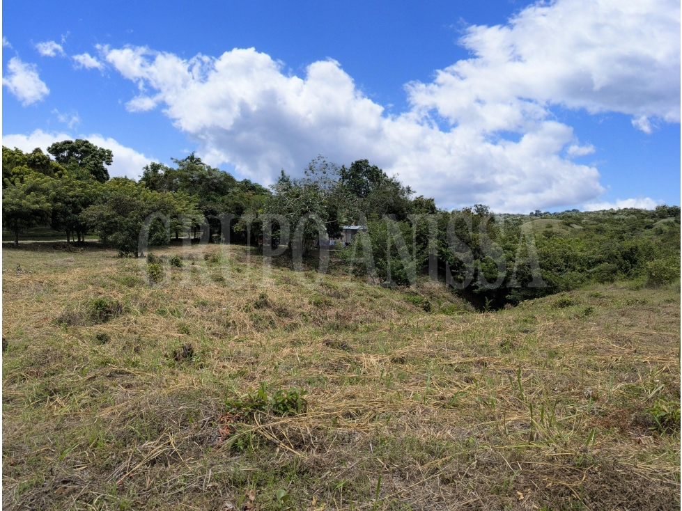 OPORTUNIDAD! Se Vende Amplio Terreno en Rio Hato - 5