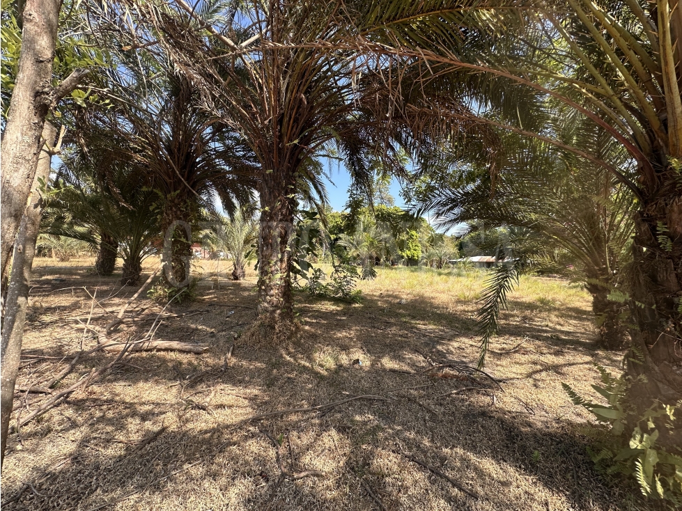 Oportunidad! Se vende Terreno Plano de Esquina en Nueva Gorgona — foto 4