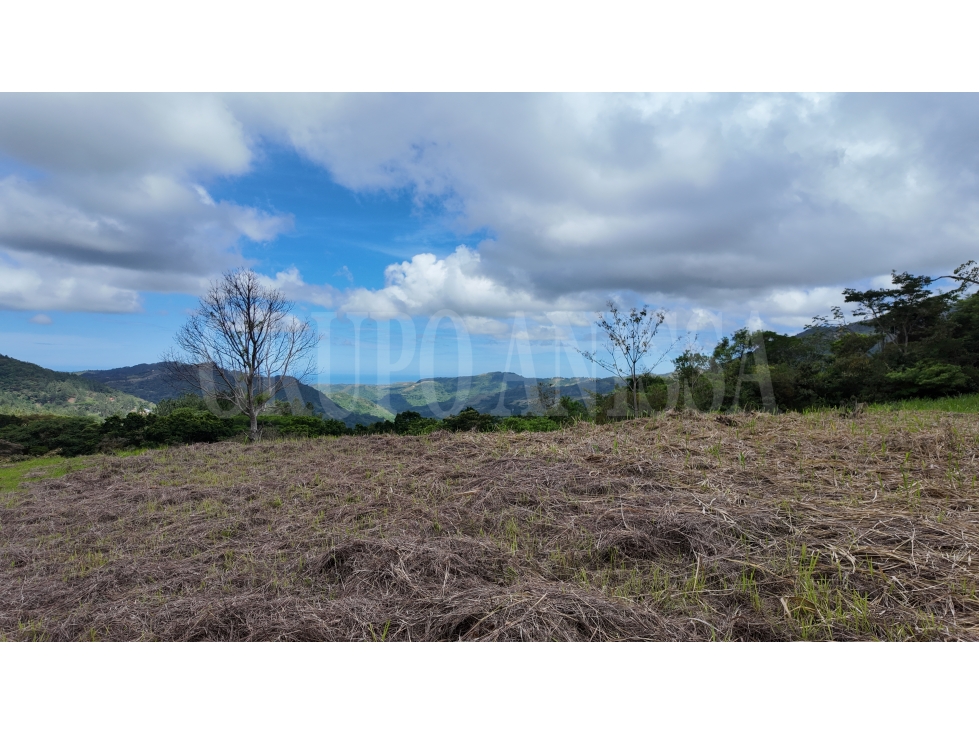 Terreno plano con impresionantes vistas Altos del María Primera Garita — foto 5