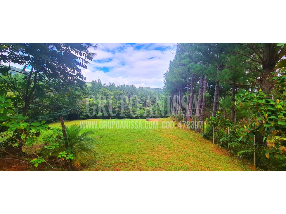 Se Vende Hermoso Terreno Plano En Altos del Maria - 6