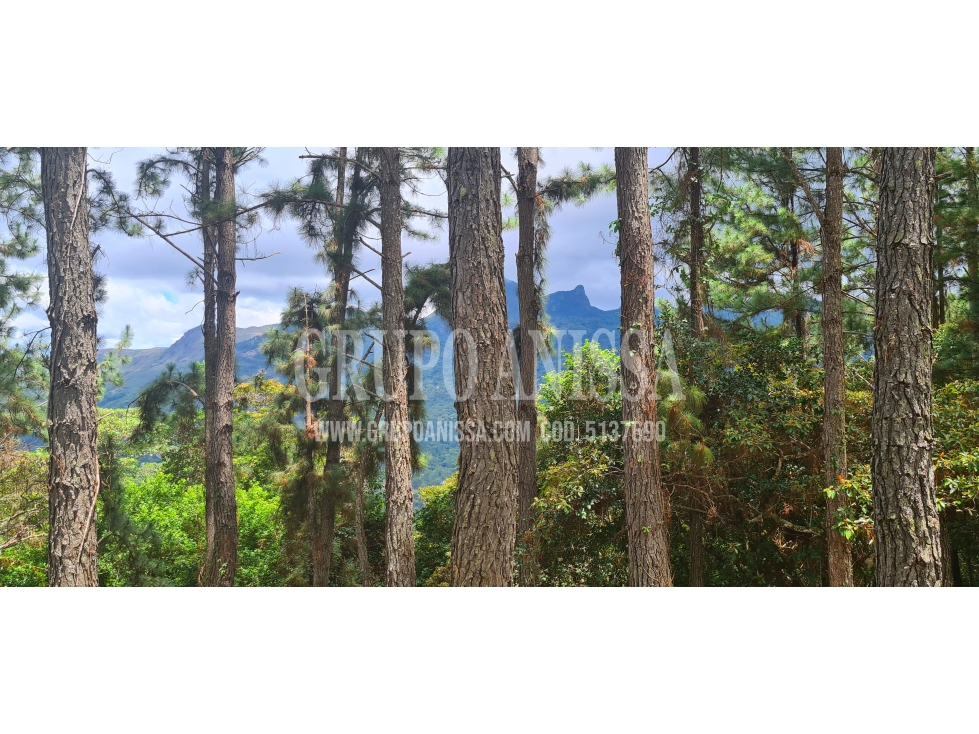 Se Vende Amplio Terreno de Esquina con Vistas en Altos del Maria — foto 6