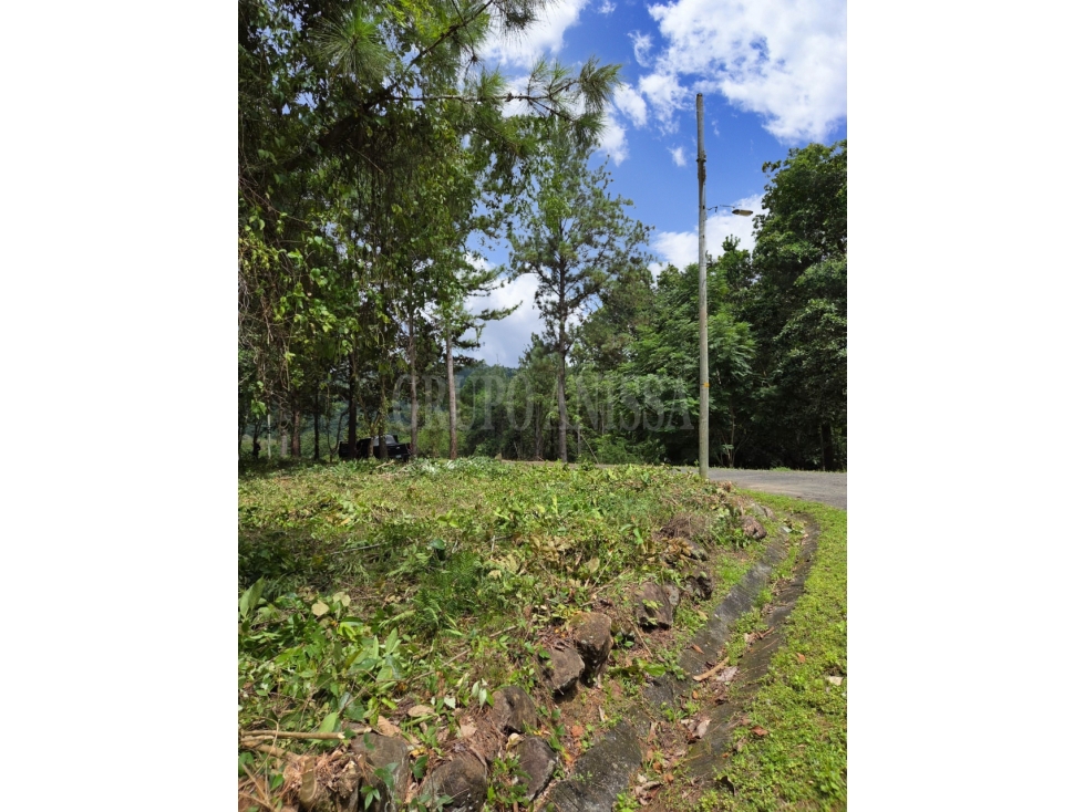 Se Vende bello Lote de Esquina con Manantial en Altos del Maria — foto 3