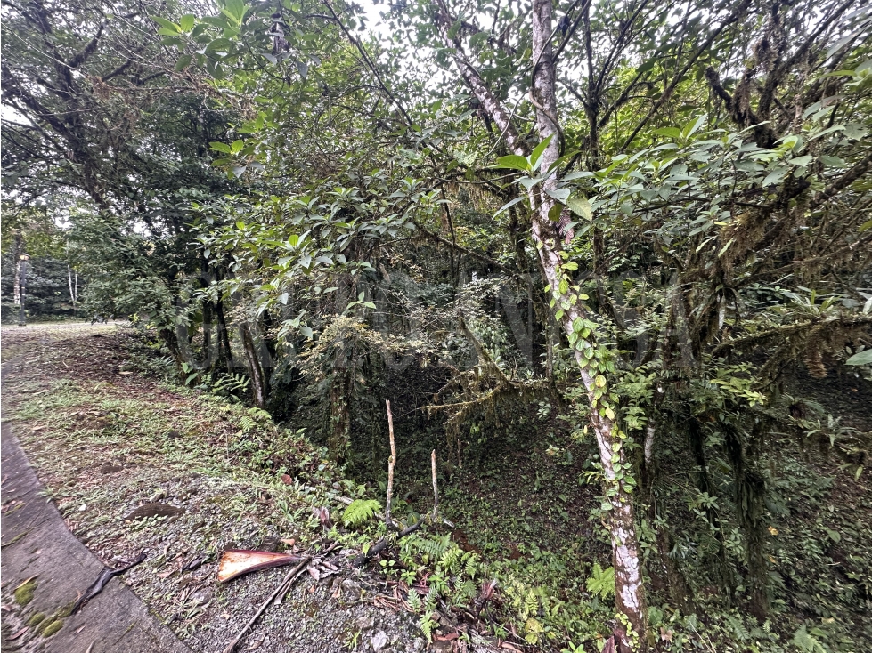 Oportunidad! Se vende amplio terreno en Galicia, Altos del Maria — foto 5