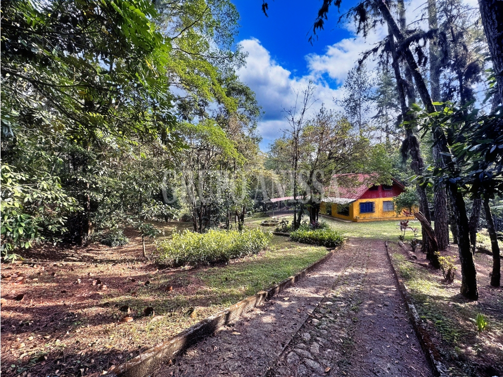 Oportunidad! Se Vende Casa con Amplio lote en Cerro Azul - 3