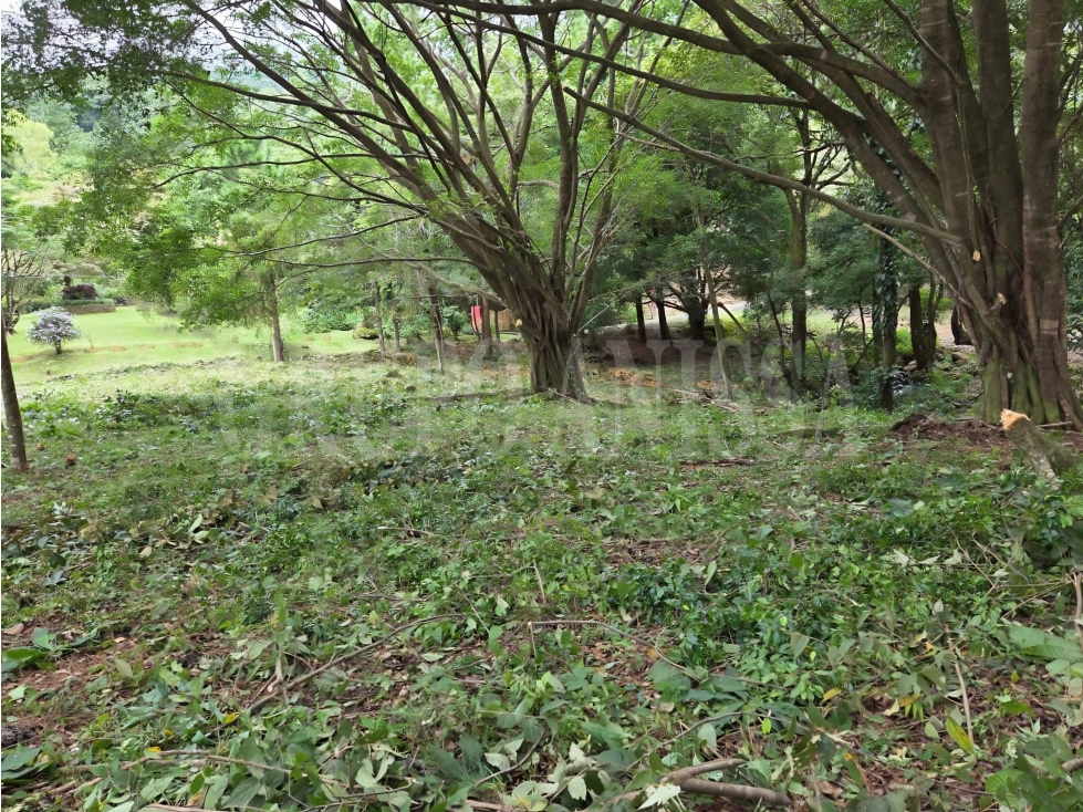 Se Vende bello Lote de Esquina con Manantial en Altos del Maria — foto 5