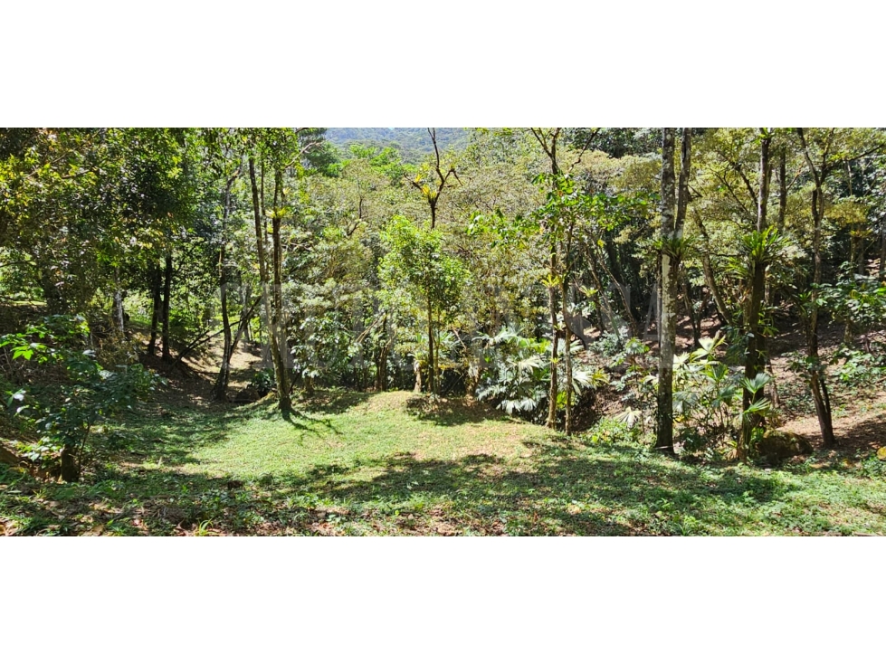 OPORTUNIDAD! Se Vende Amplio lote en Altos del Maria — foto 3