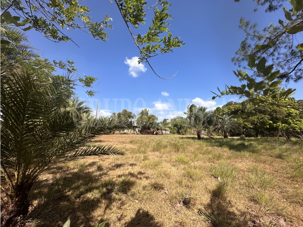 Oportunidad! Se vende Terreno Plano de Esquina en Nueva Gorgona — foto 5