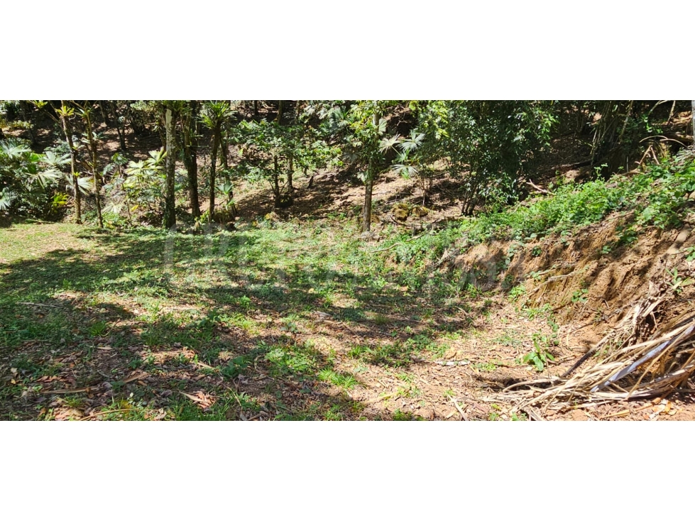 OPORTUNIDAD! Se Vende Amplio lote en Altos del Maria — foto 5