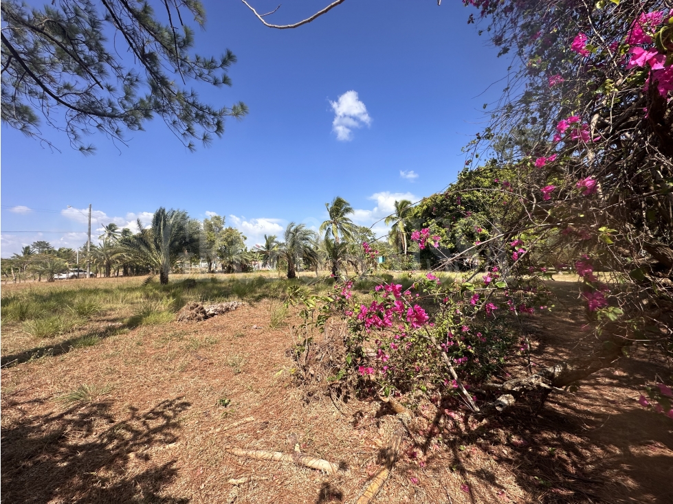 Oportunidad! Se vende Terreno Plano de Esquina en Nueva Gorgona — foto 6