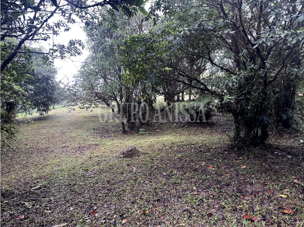 Se Vende Terreno Plano en Zona Alta de Altos del Maria — foto 4